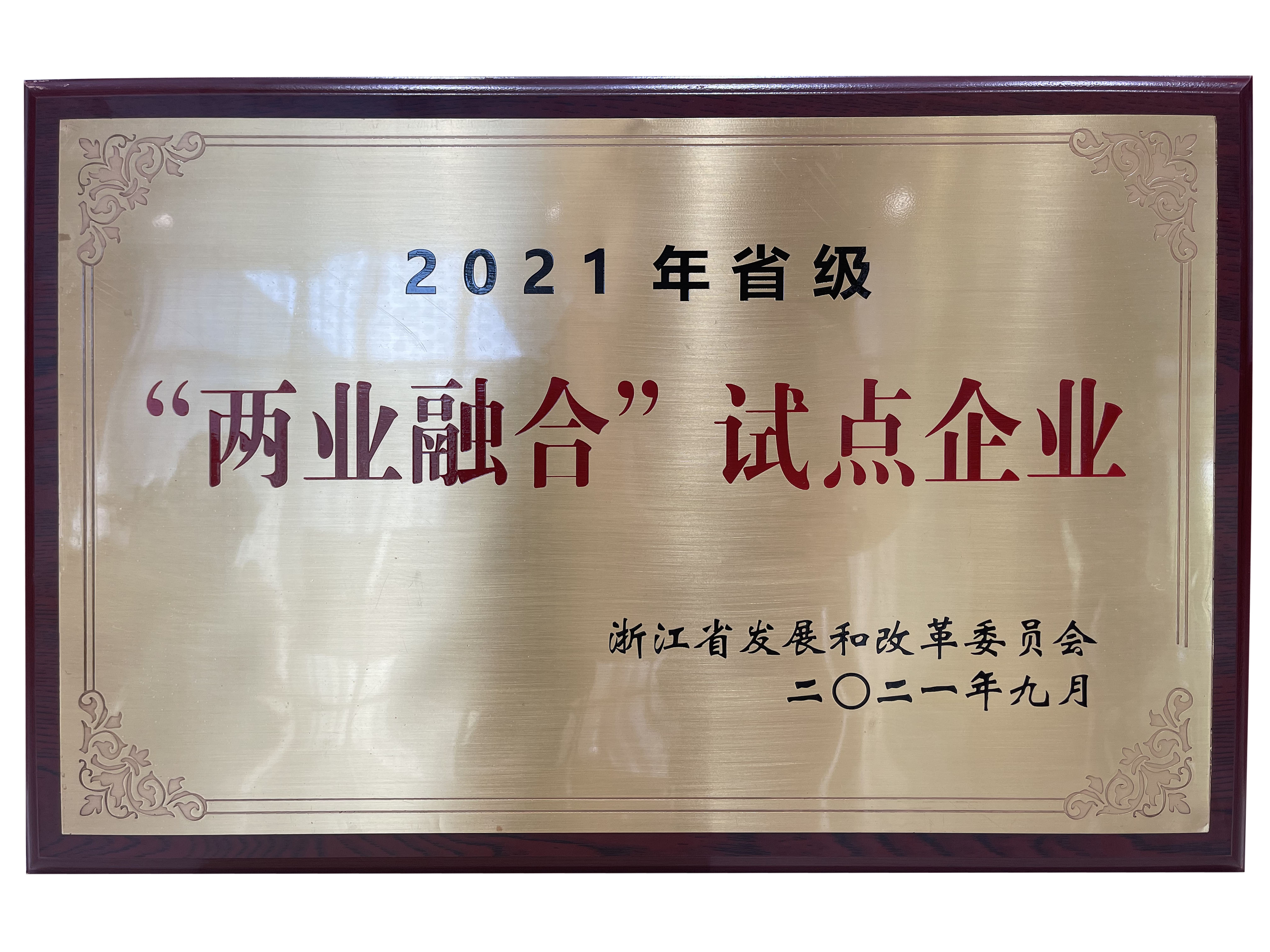 公司榮獲2021年省級“兩業(yè)融合”試點企業(yè)