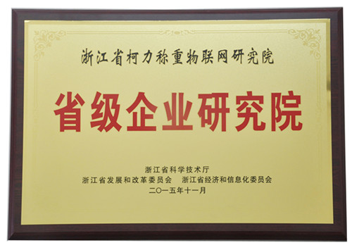 公司稱重物聯(lián)網(wǎng)研究院榮獲“浙江省省級企業(yè)研究院”