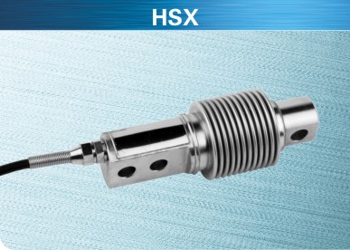 HSX